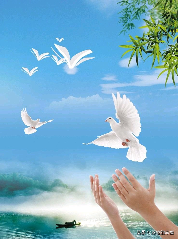 梦想的图片（关于一些追求梦想自由的漫画？）