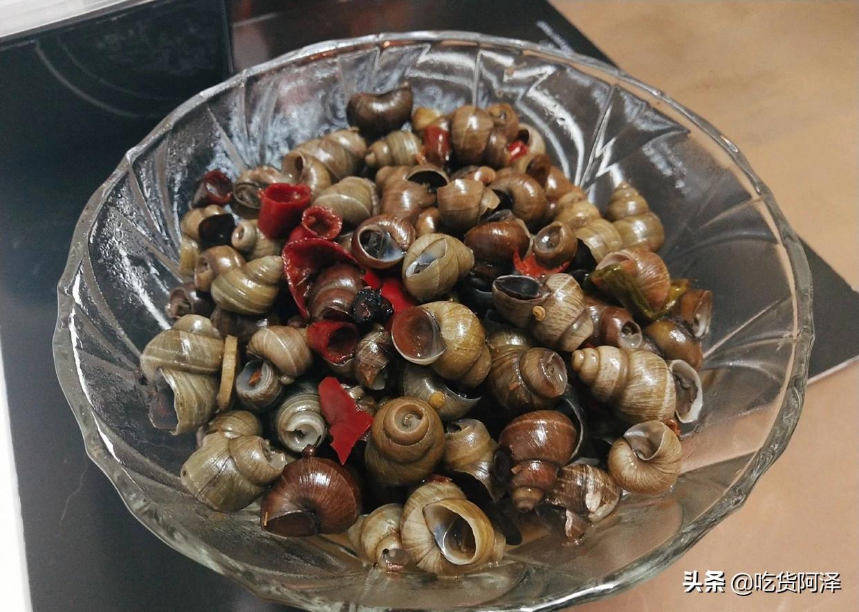 海外生活吃货视频大全下载，海外生活吃货视频大全下载安装