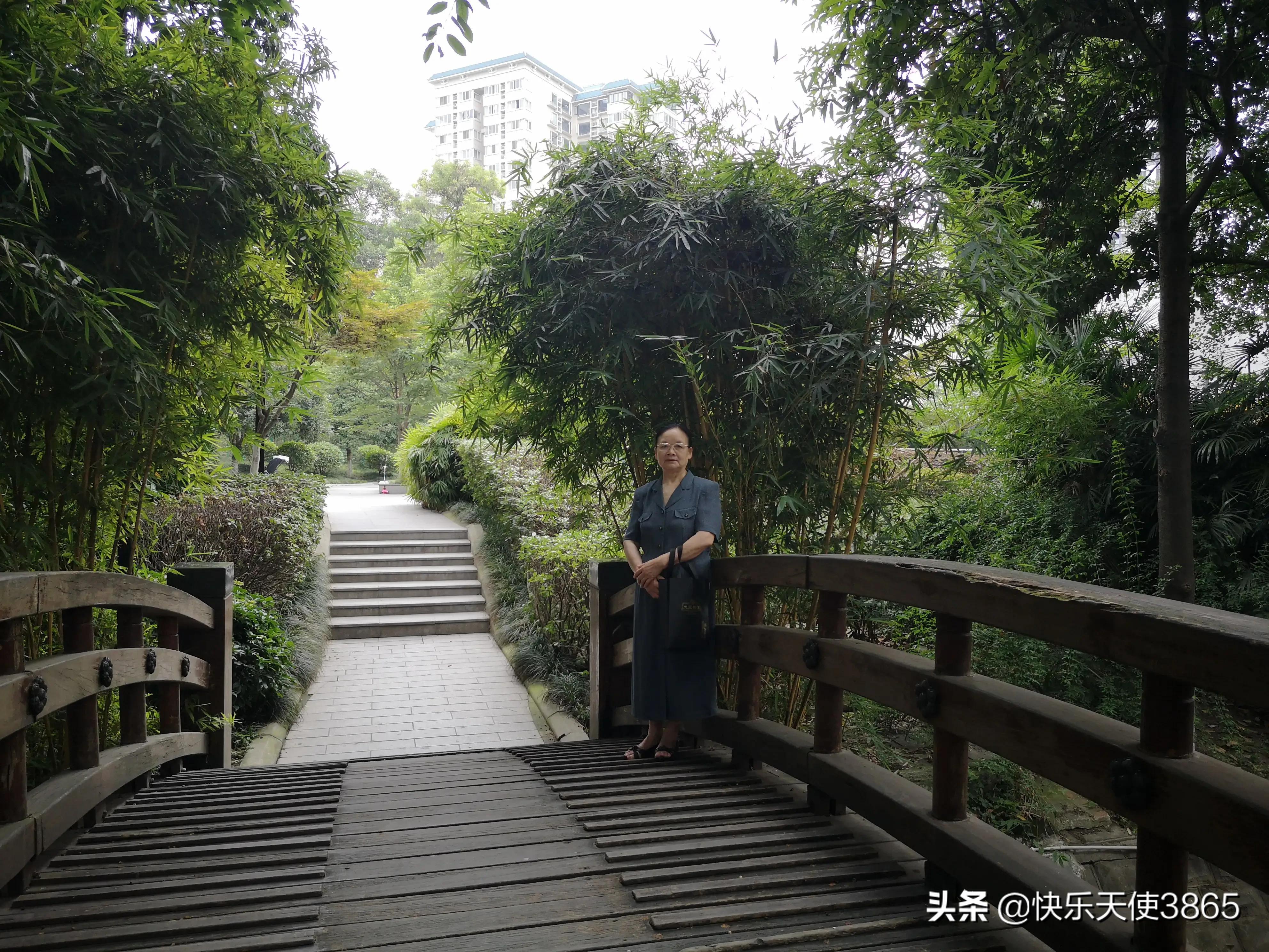 海外生活 旅游现状分析，海外生活 旅游现状分析论文