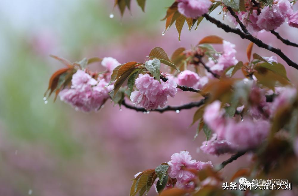今天河南怎么样