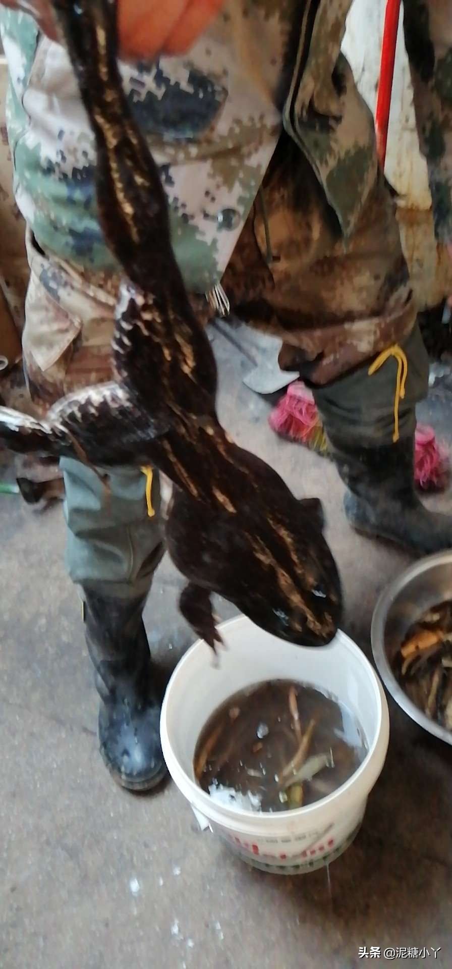 [老年人图片]老人与蛇的寓言故事？