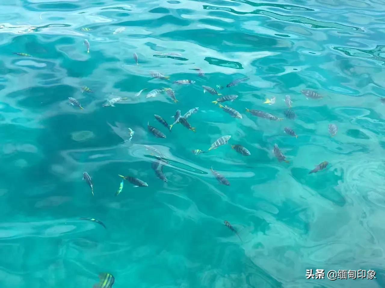 你的海外生活能有多开放，你的海外生活能有多开放英语