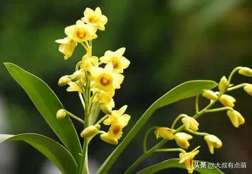 合肥属于疫情重灾区吗？你怎么看？