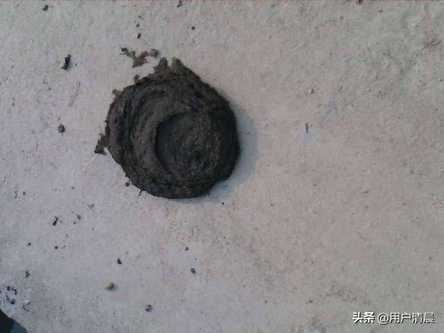 相册里的照片怎么保存?:怎么保存图片 相册里的照片怎么保存?:怎么保存图片