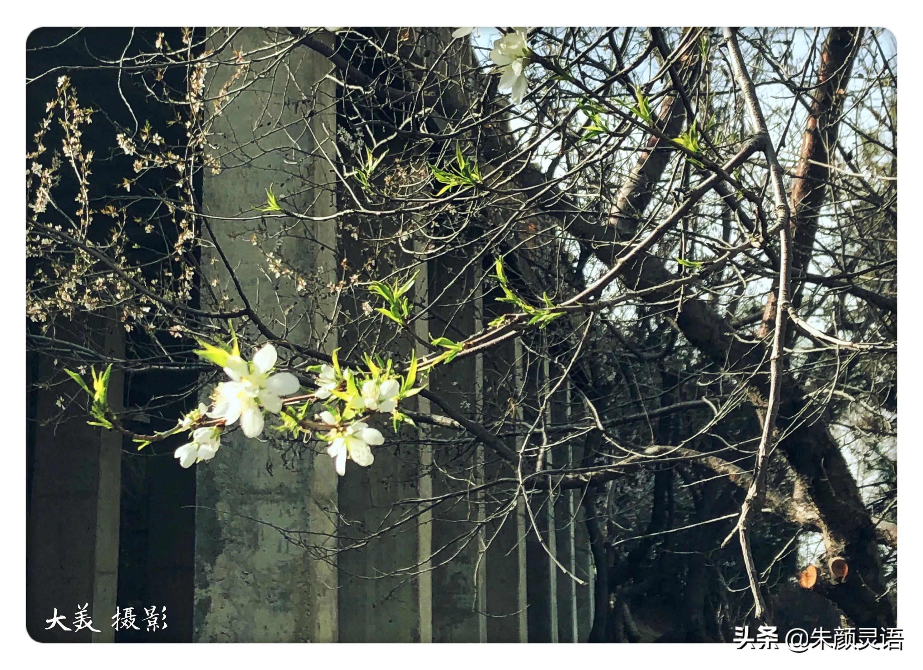学化妆衣服搭配技巧

