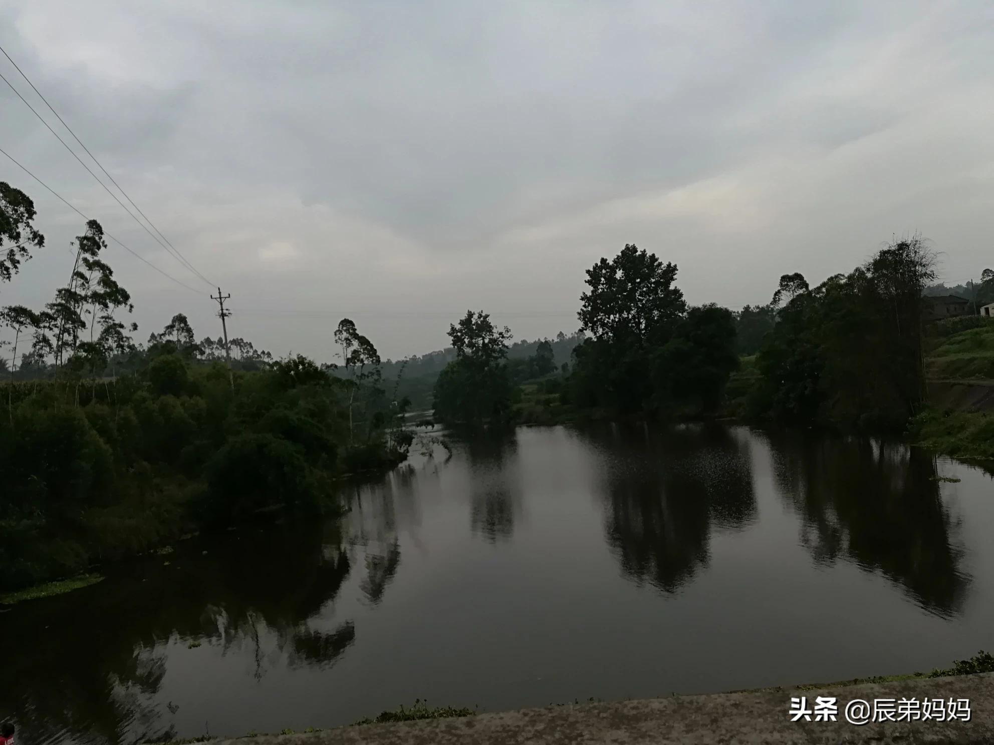 新澳天天彩2025芳草地和厦门小时降雨量第一与厦门小时降雨量第一天多少