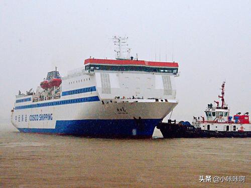 大连市哪个岛最大 大连市哪个岛最大