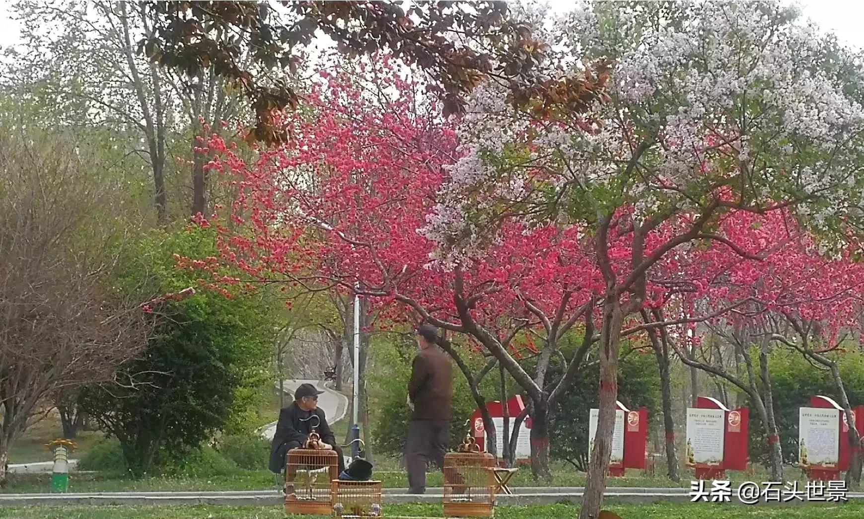 搜麻豆搜麻豆传媒免费高清日B视频