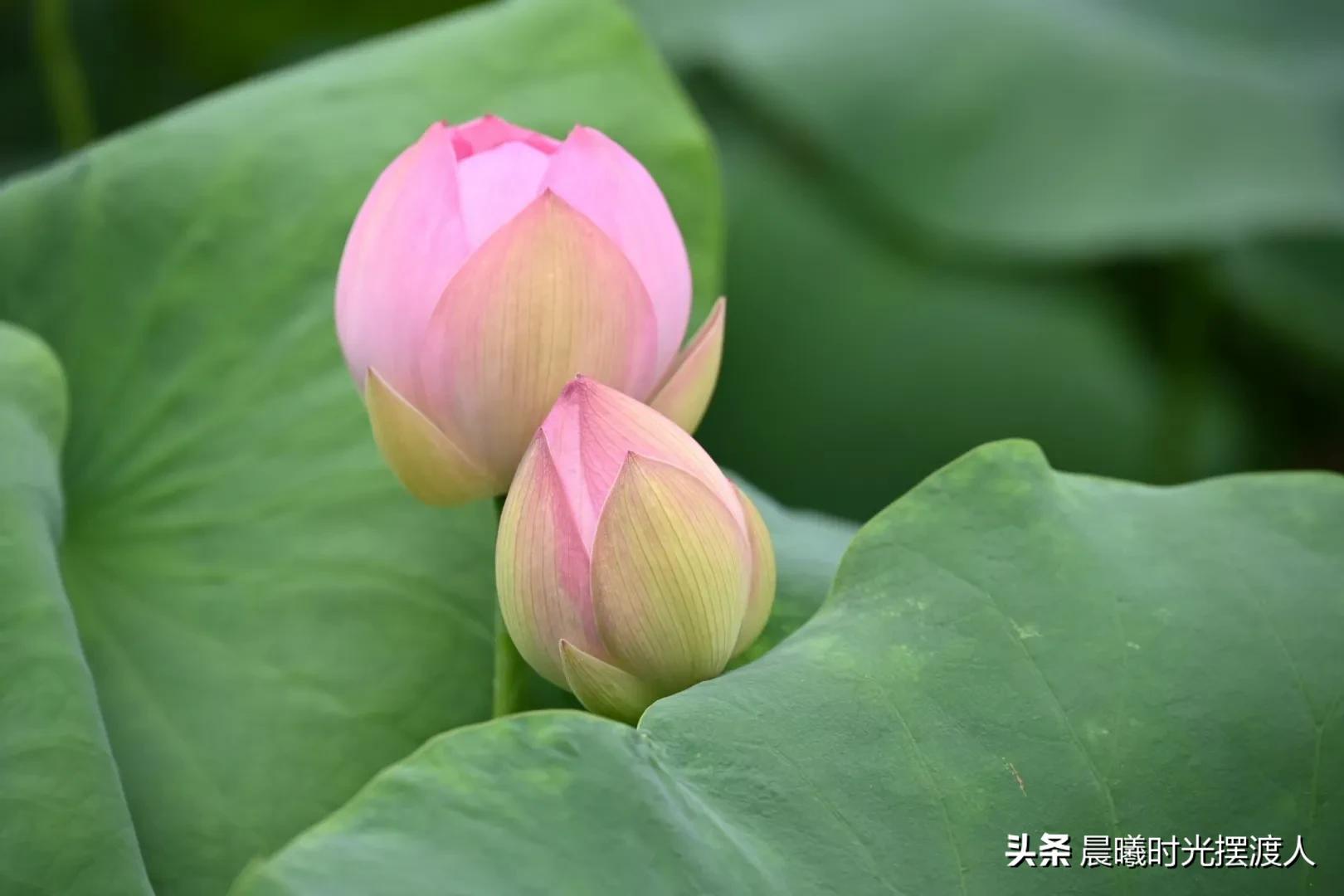 婚姻登记中心进复旦