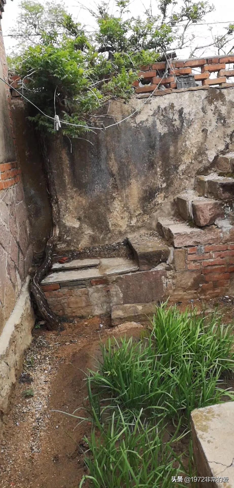 4美元怎么搭建网站