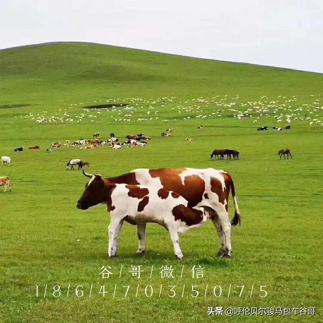 跑焦(跑焦是镜头问题还是相机问题?) 跑焦(跑焦是镜头问题还是相机问题?)