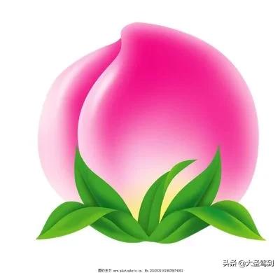 跨性别者体育赛事（什么是跨性别？）