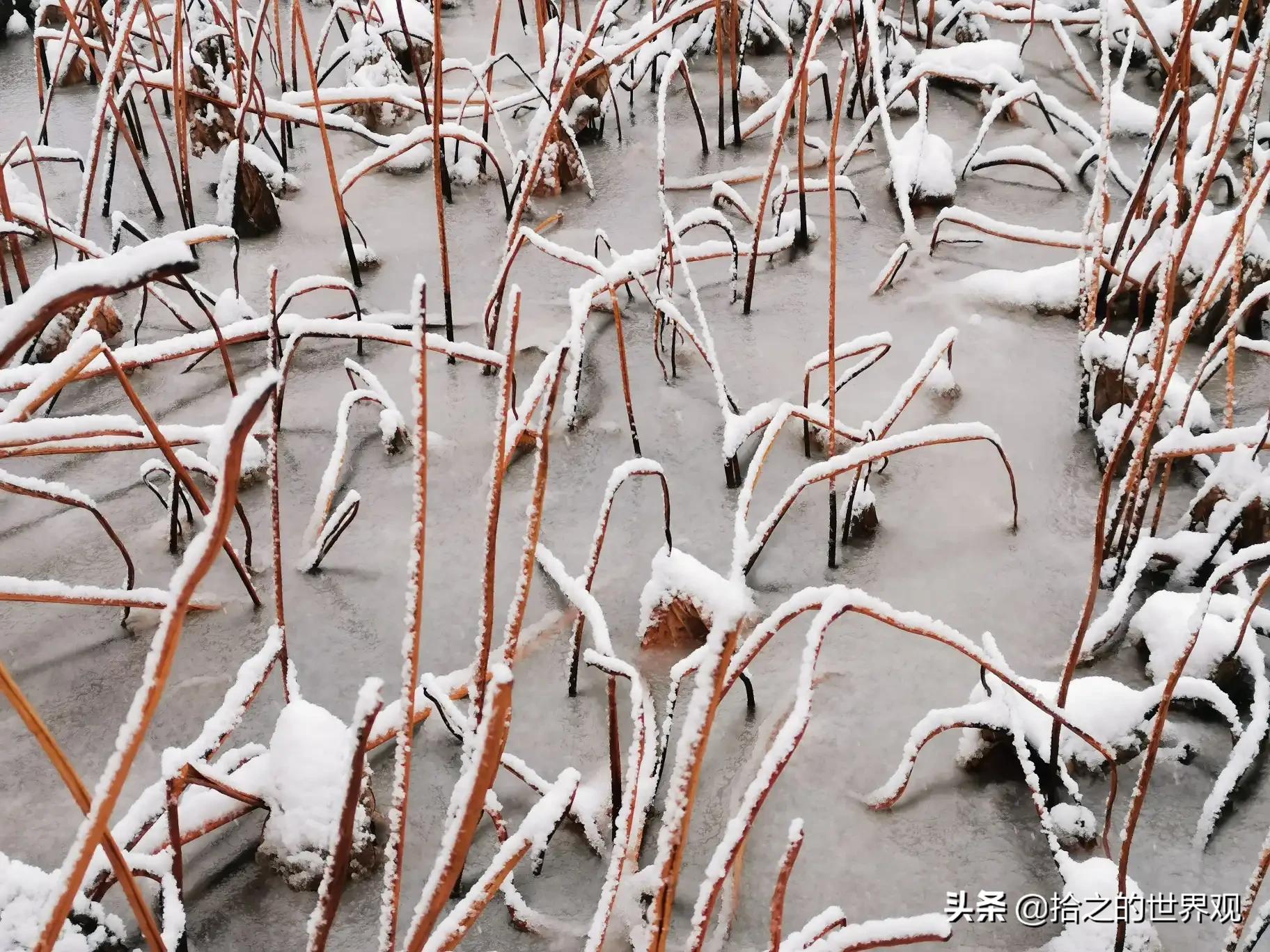 [nef是什么意思]nef概念是什么意思？