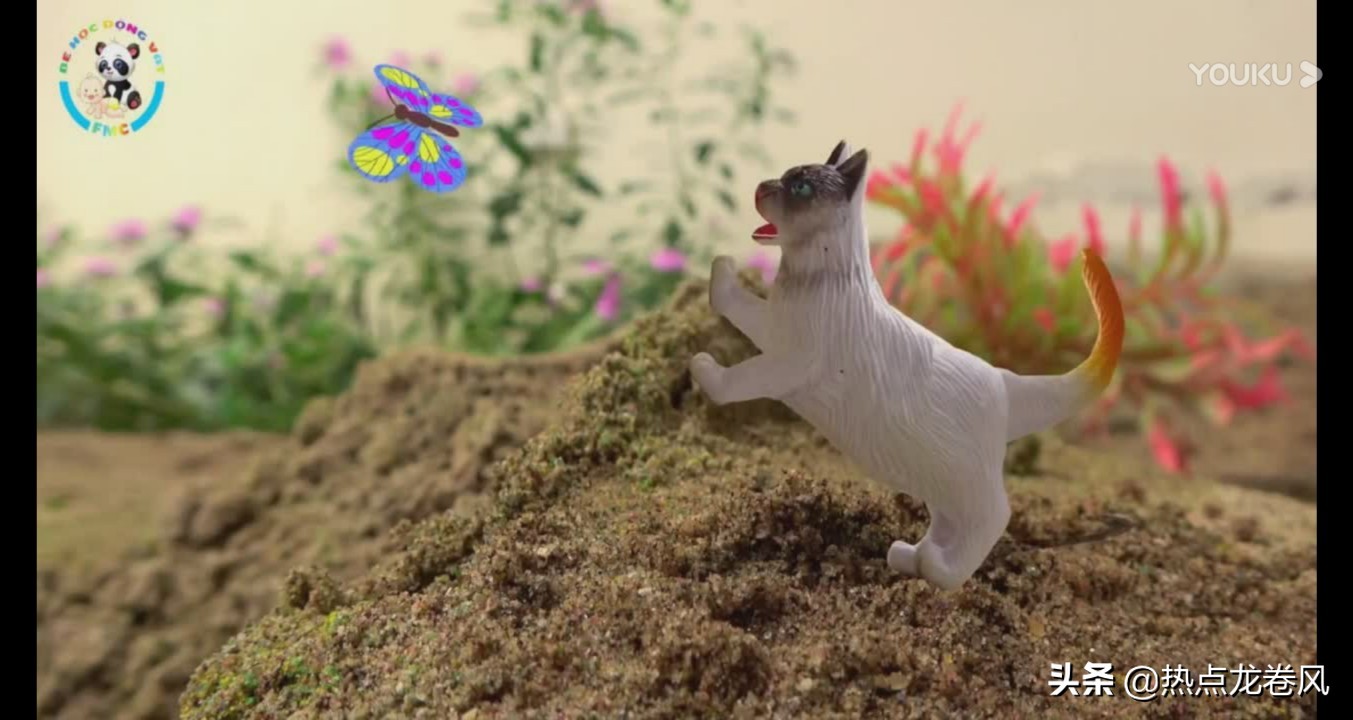 沈阳市限高怎么规定的