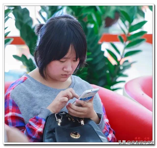 12岁可以开发什么app