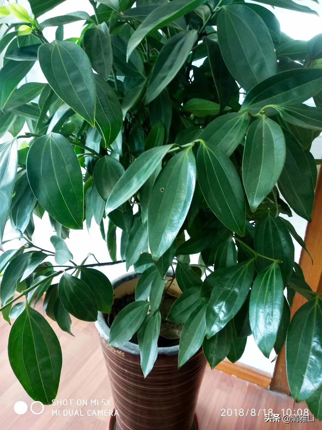 [怎么才能让]怎么才能让自己变的乐观，开朗，没有烦恼？