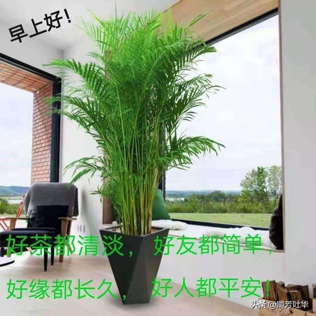前妻回来了大结局小说？