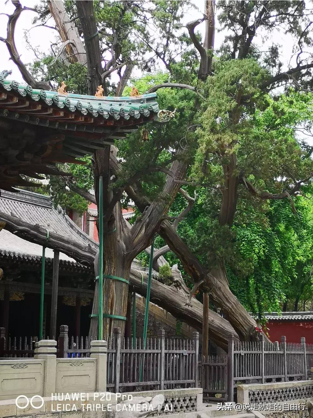 太原景区网站制作公司,太原一卡通2023哪些景点可以去?