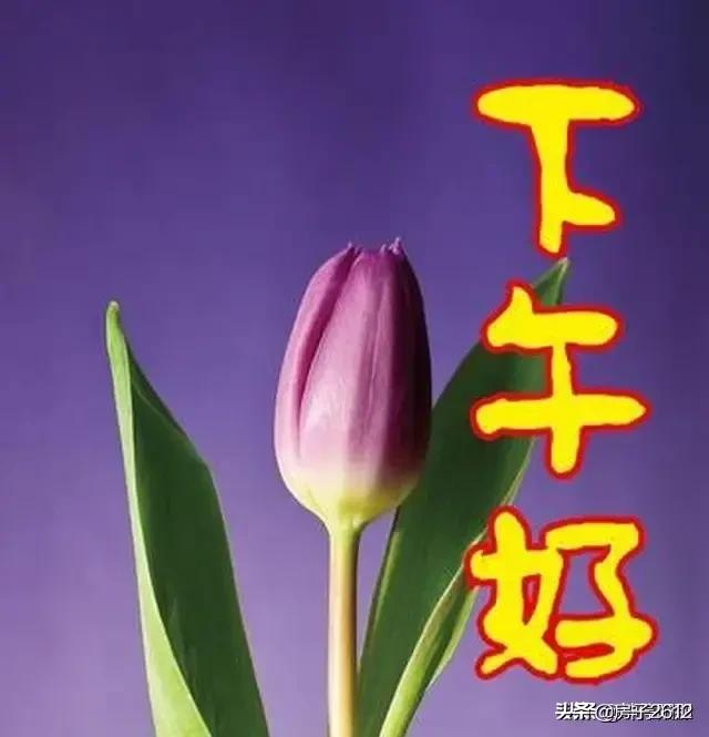 山水映象最近几年有什么变化吗？小区前景如何？现在还值得入手吗？