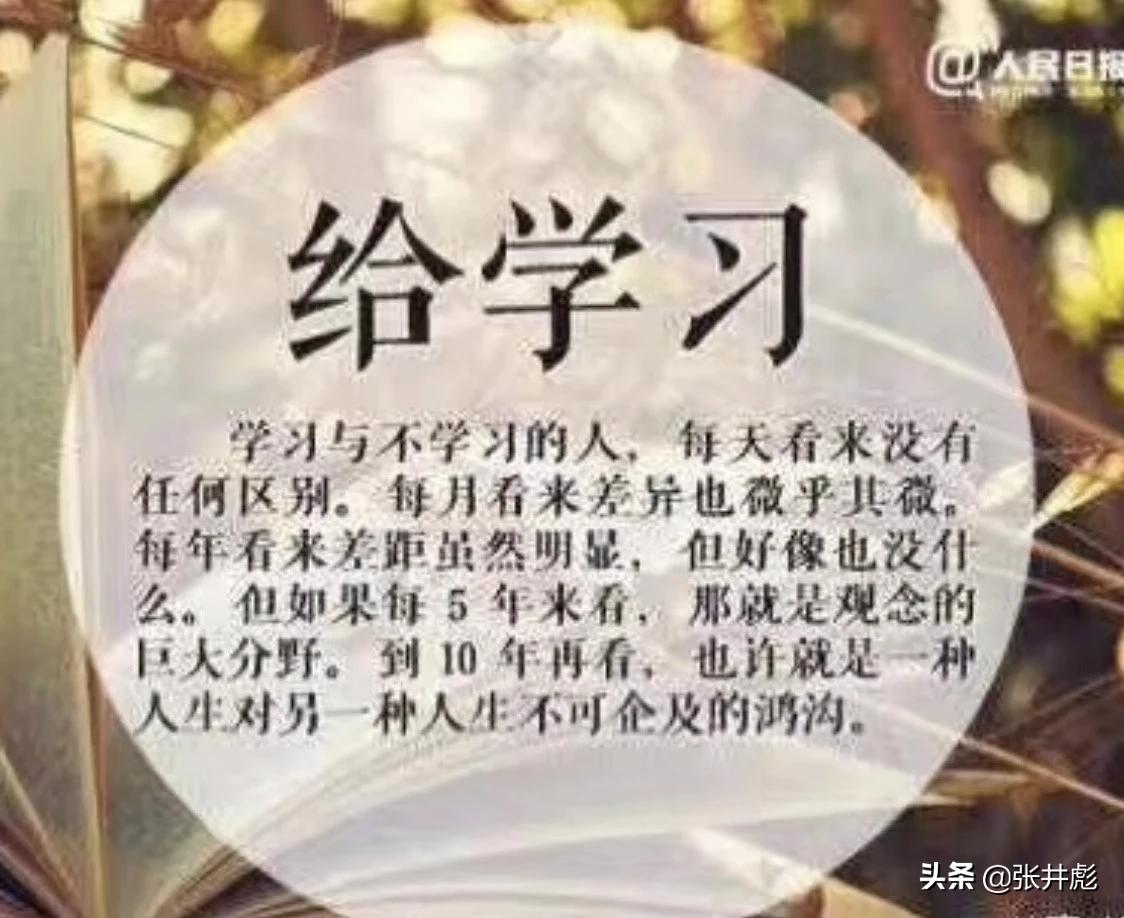 深入探究集团税务筹划的问题与解决方法，深入探究集团税务筹划的问题与解决方法论文