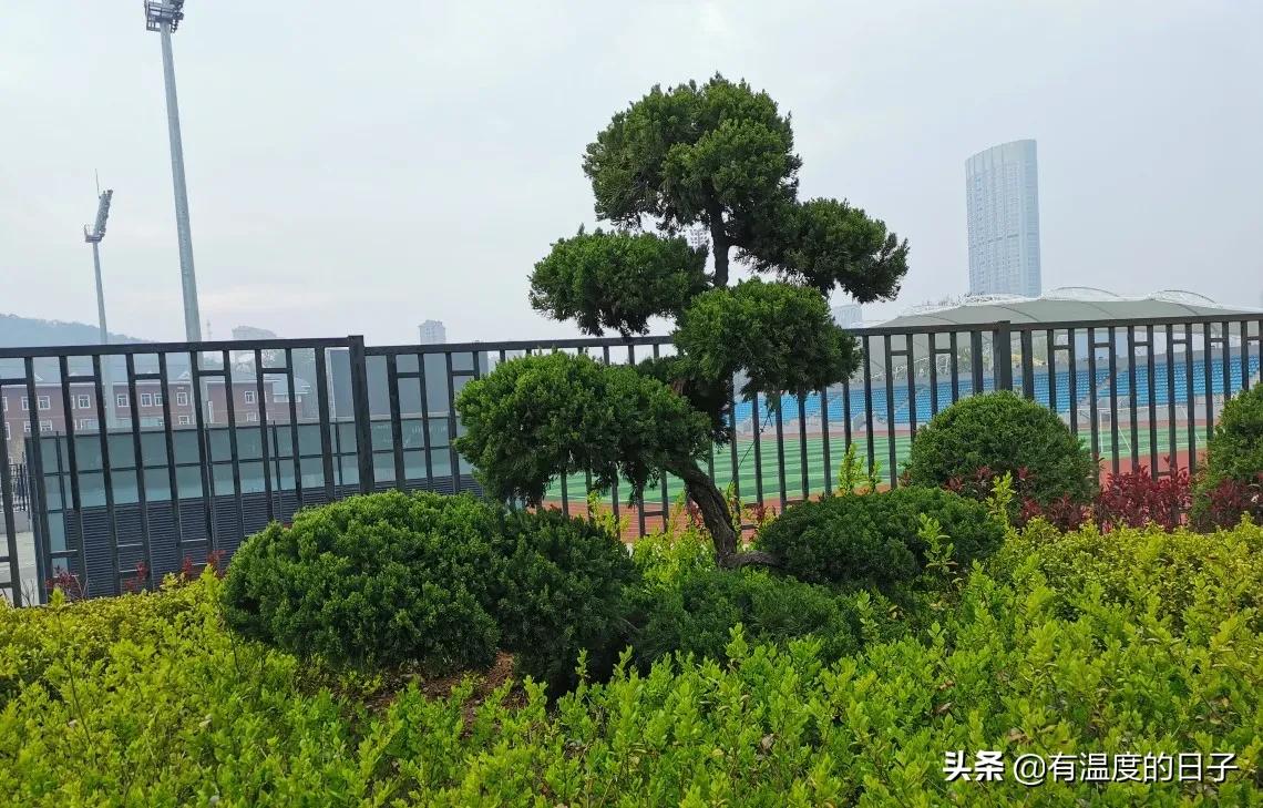 大连市育明校服什么样子 大连市育明校服什么样子