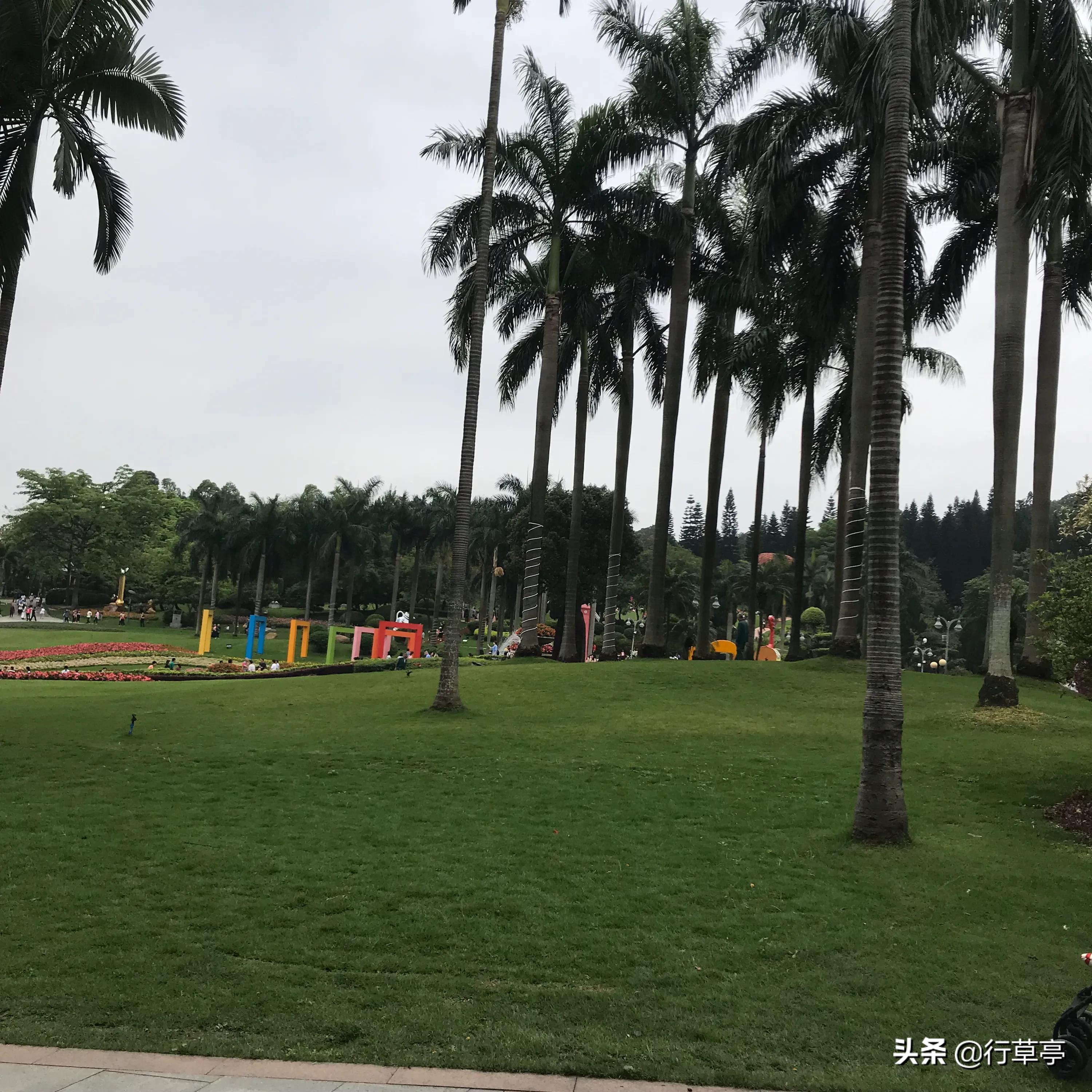 新手毛笔推荐行书字体