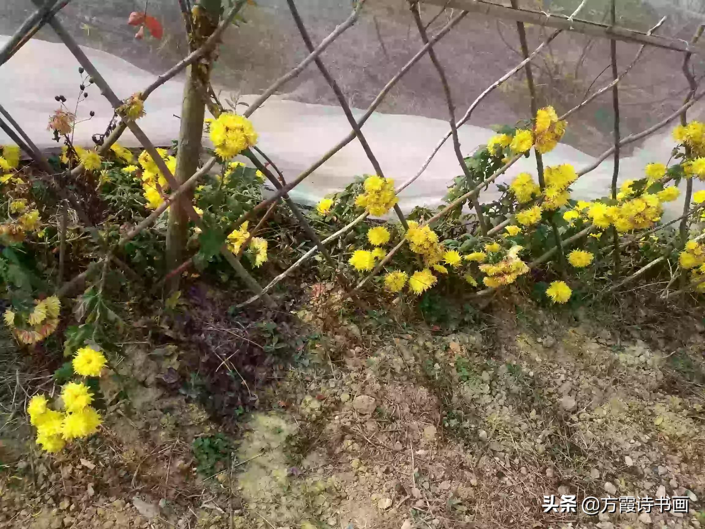 [弹窗广告]页面总是弹出各种广告怎么办？