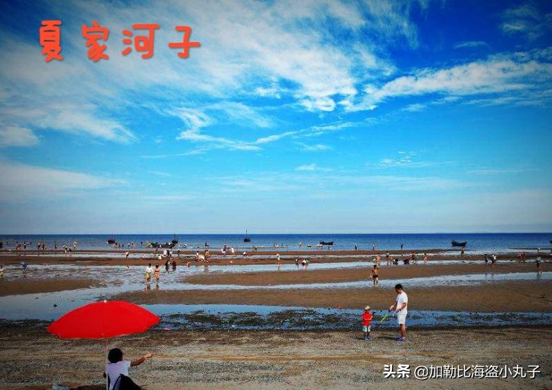 大连市债务律师所哪个好