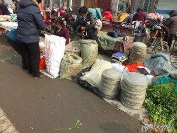广东省广州市番禺区南浦东乡村兴民路是什么街道？
