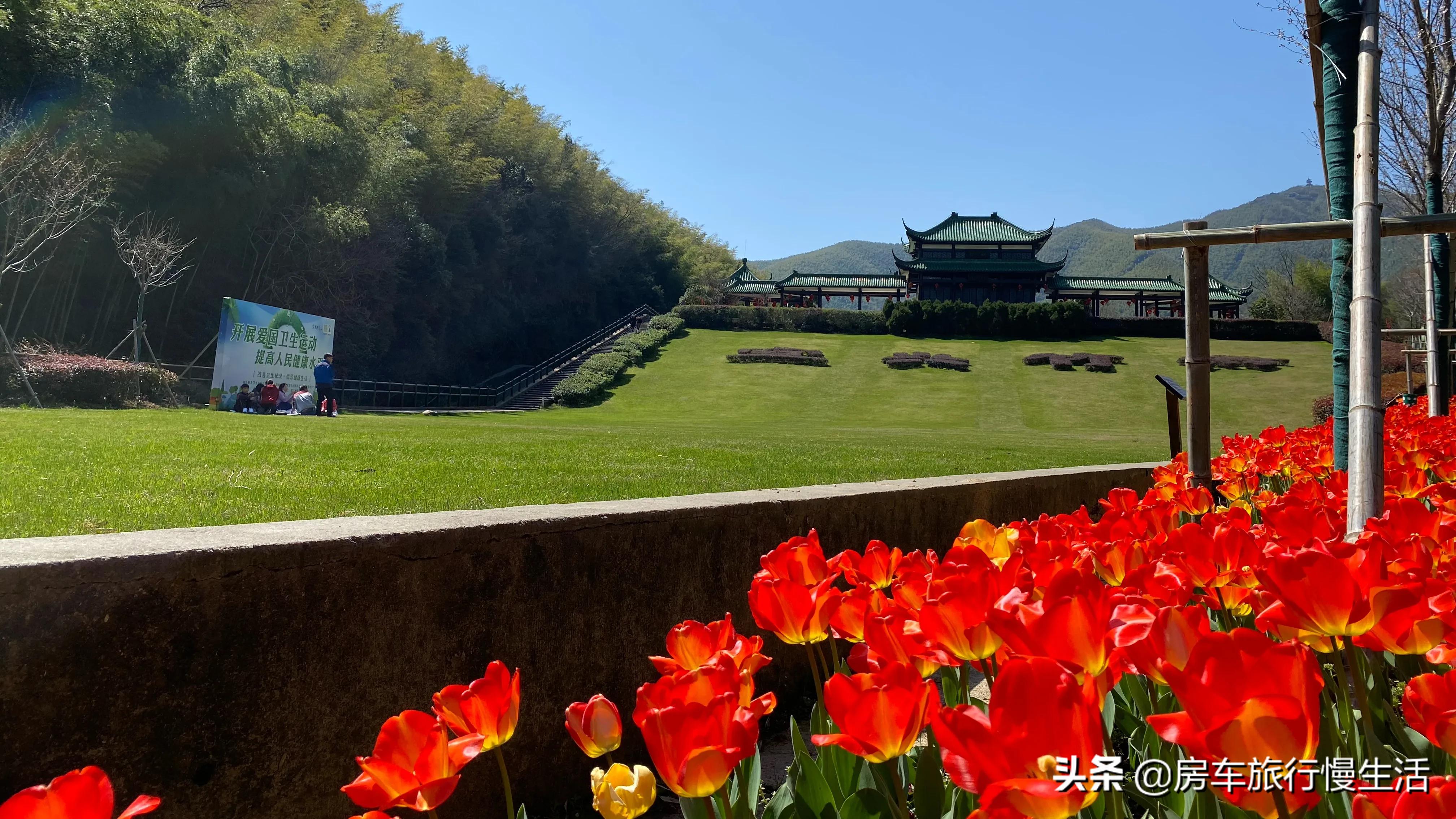 搭建网站计划的目的