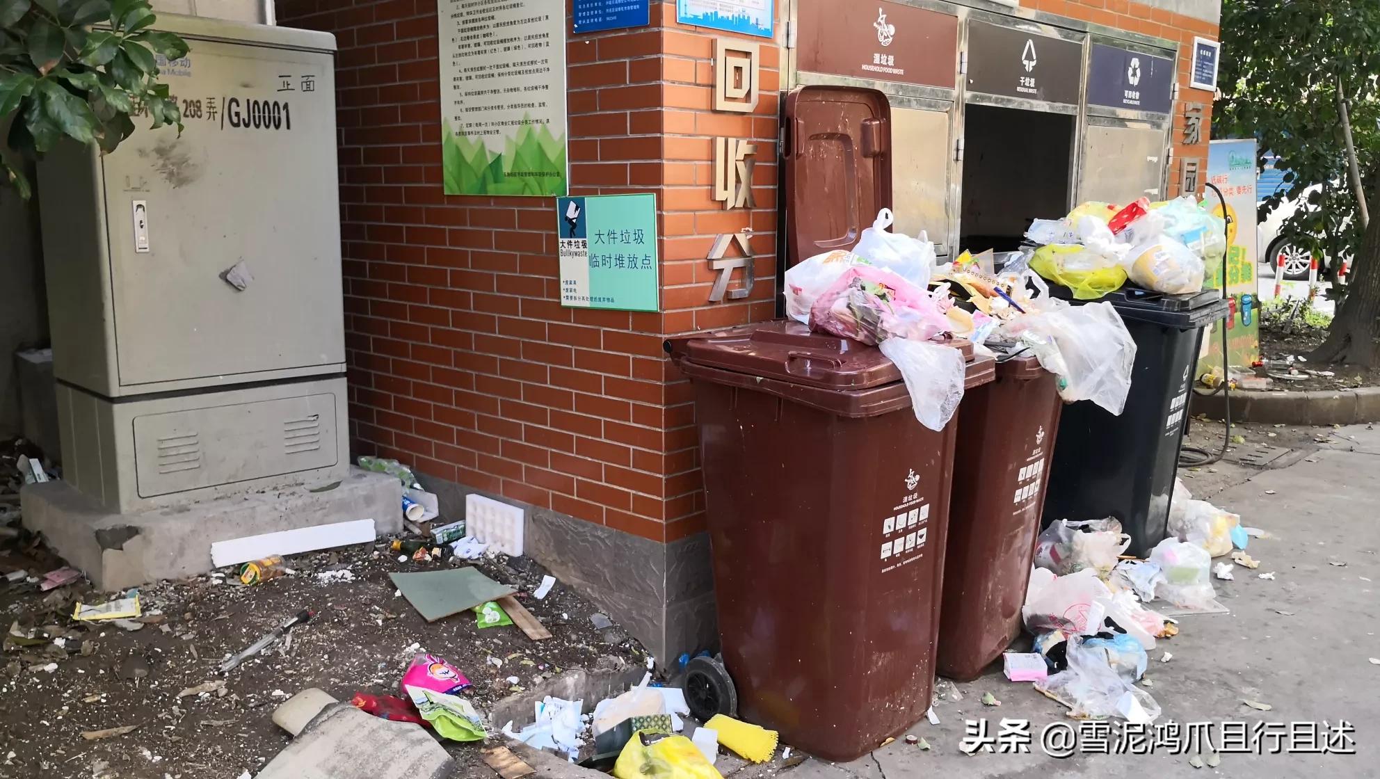 [上海扔东西要花几百]上海丢垃圾处罚流程？
