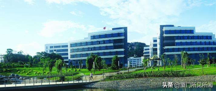 厦门推荐搭建网站团队