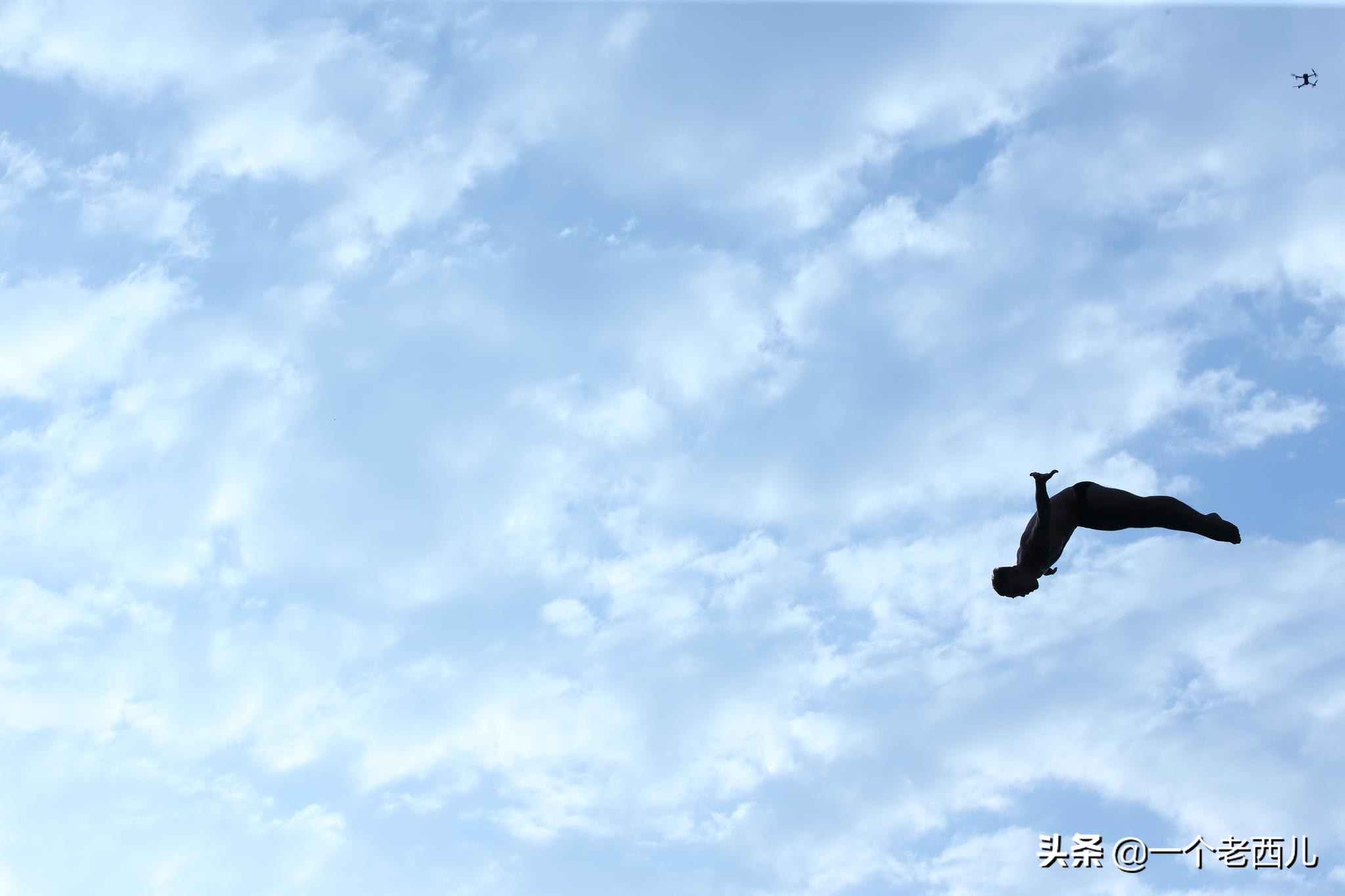 奥运会跳水梦之队相关知识（跳水奥运项目？）