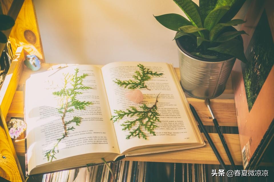 南宁买菜扫码可查看菜品“身世”，300多个追溯节点覆盖104个市场, 你怎么看？