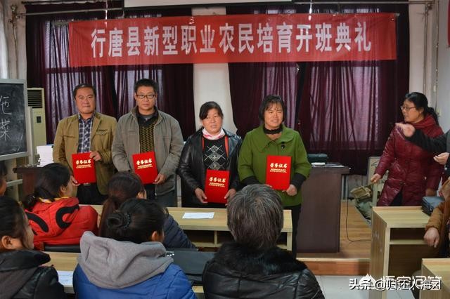 [桔子红了]《桔子红了》这部电视剧，你觉得好看吗？