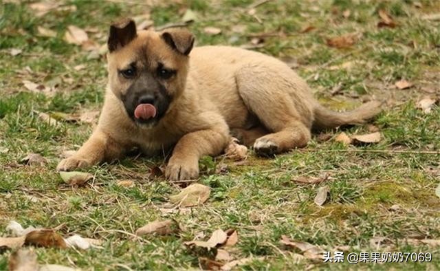 能把(人流完之后子宫里面还有2厘米的血块清宫能清干净吗?) 能把(人流完之后子宫里面还有2厘米的血块清宫能清干净吗?)