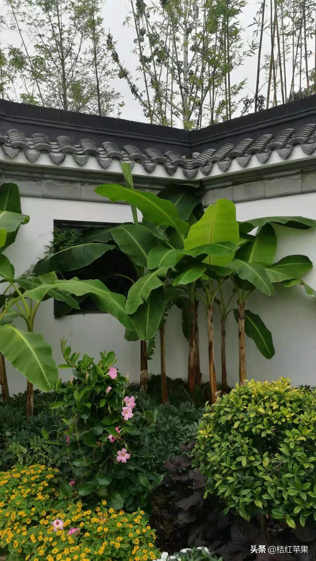 碧水蓝天美妆爆款好物
