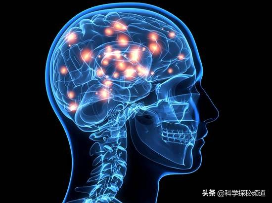 [检验睡没睡够的标准]睡着后，有时人体会颤抖一下，有人说这是大脑在检测自己是否还活着，如检测到死了，大脑会立刻死吗？