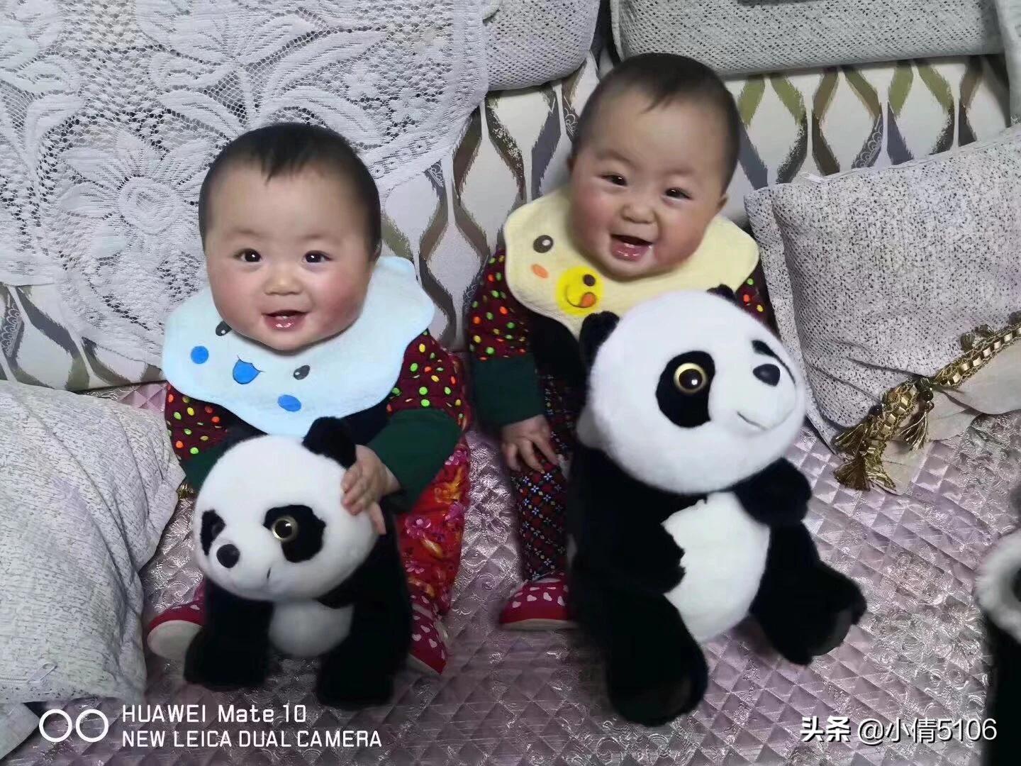 宝妈海外生活视频大全下载，宝妈海外生活视频大全下载安装