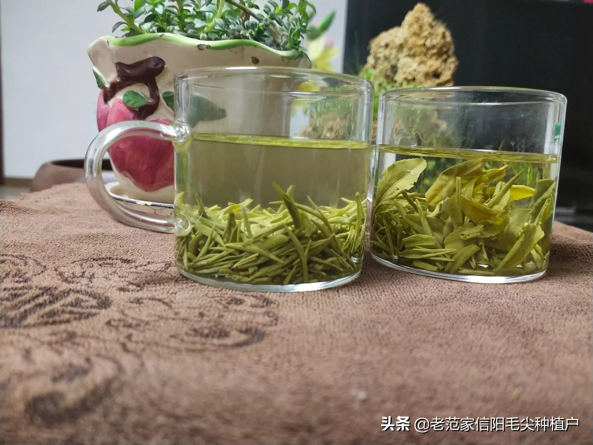 河南信阳哪个区的