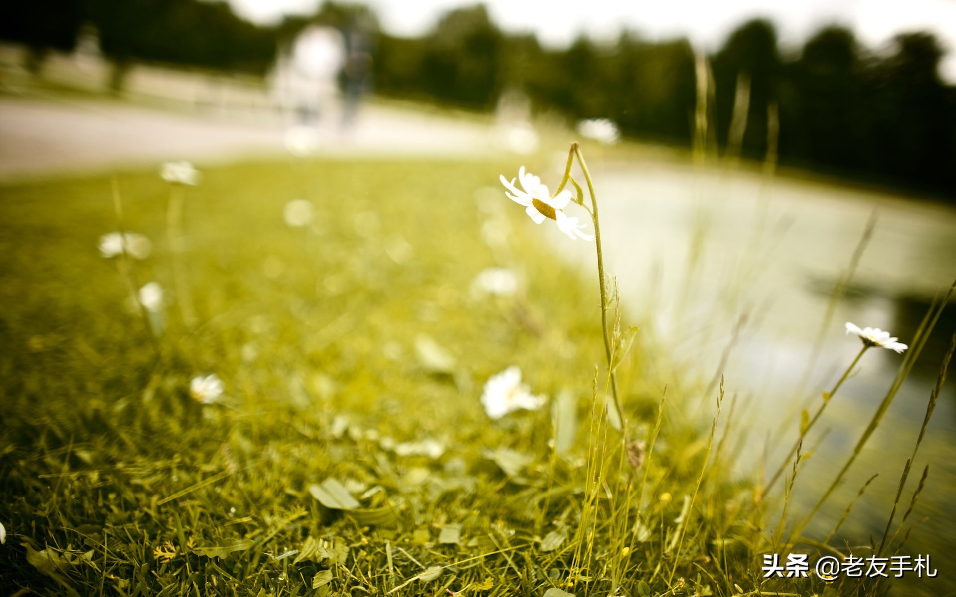 如何安慰如何安慰失去亲人的人简单话语 如何安慰如何安慰失去亲人的人简单话语