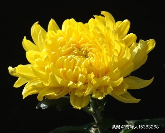 相片处理相片处理免费软件 相片处理相片处理免费软件