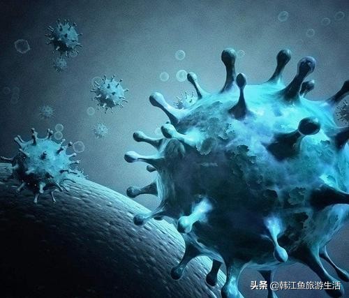 在海外生活的人回国怎么办，在海外生活的人回国怎么办手续