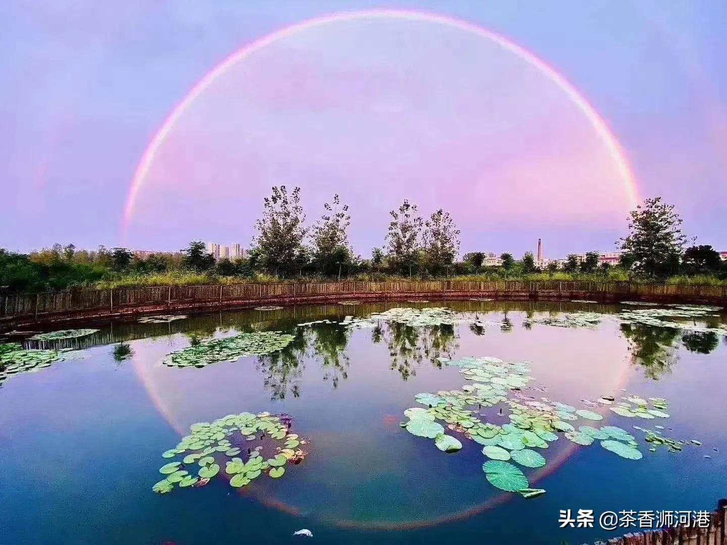 河南哪个村买房好点