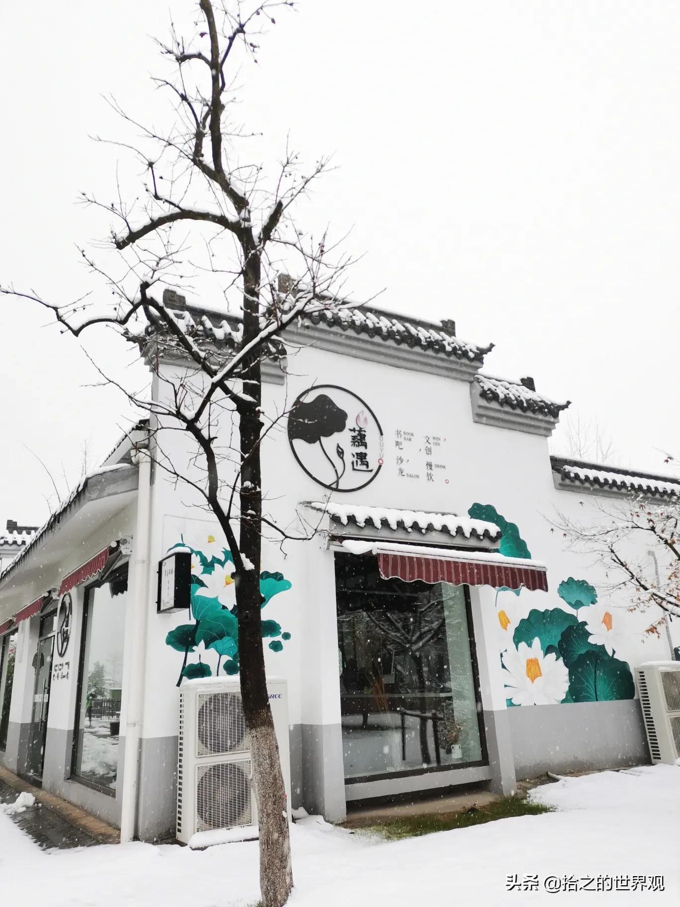 [nef是什么意思]nef概念是什么意思？