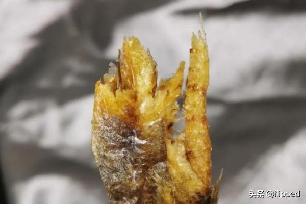 宁波市有什么好吃的美食