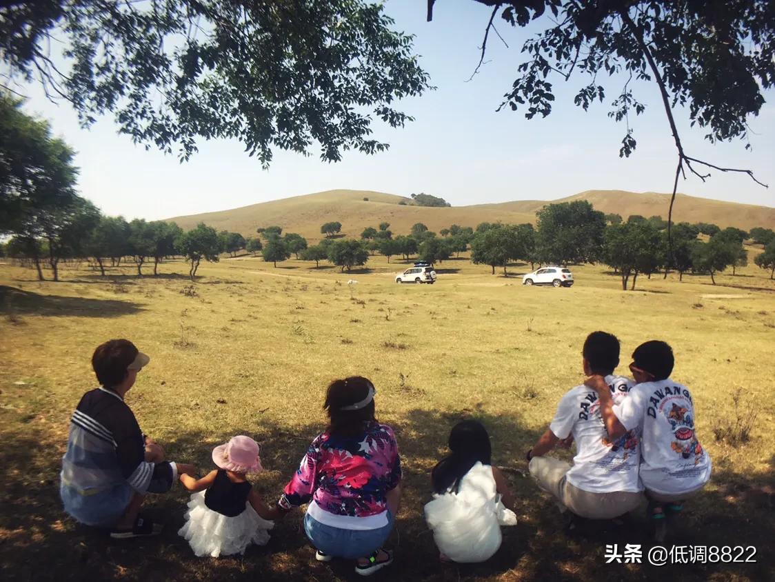 女生发树的图片意思?:草原照片 女生发树的图片意思?:草原照片