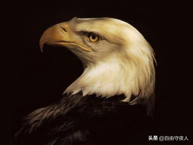 离婚男方把房子写给孩子，但不出抚养费！可以吗？：王暖暖成功离婚