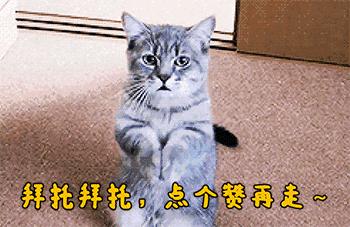 晚睡一个小时的后果
