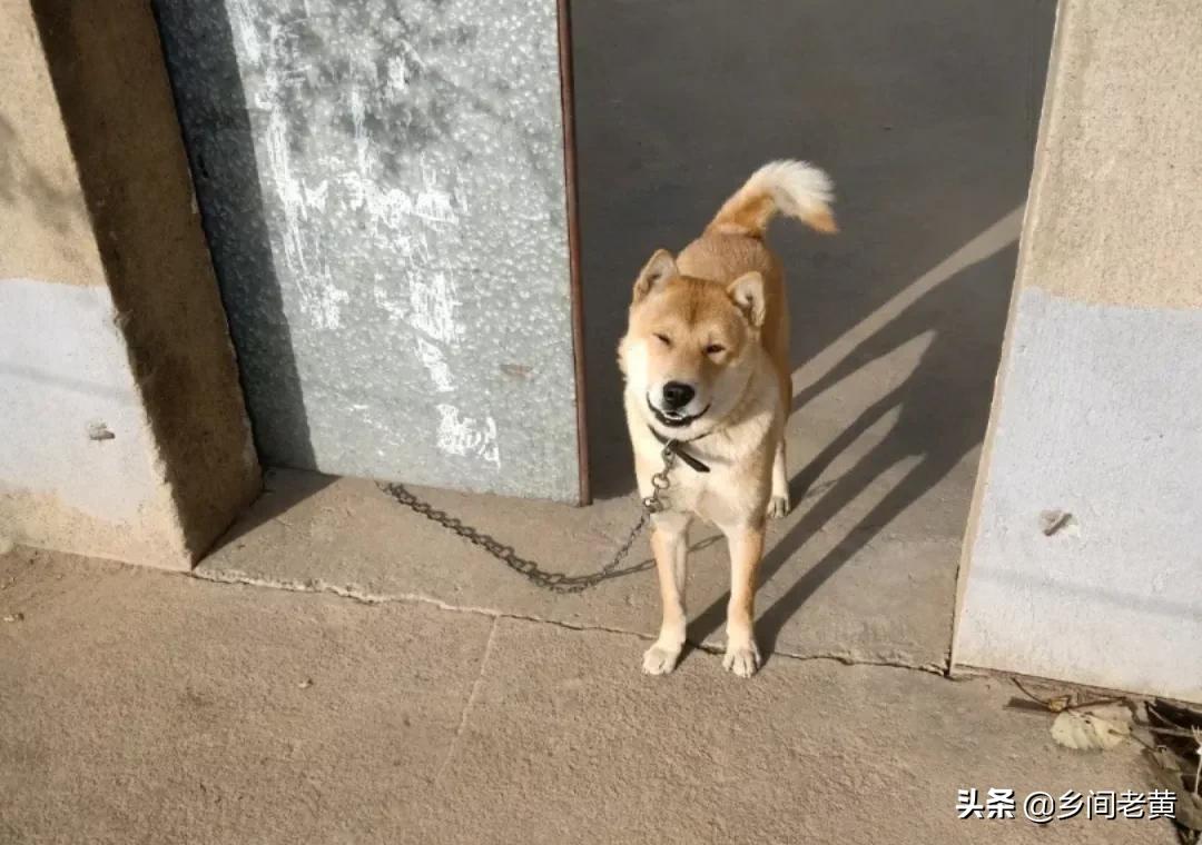 能把（人流完之后子宫里面还有2厘米的血块清宫能清干净吗？）